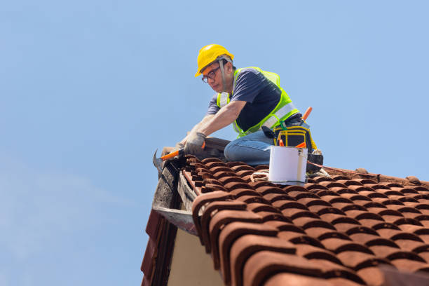 Best Storm Damage Roof Repair  in Savannah, GA